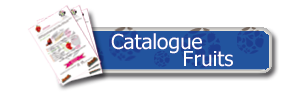 catalogue2